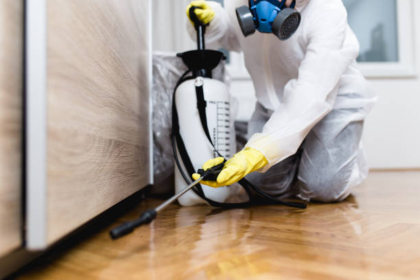 Best Cockroach Control Services  in Lake Leann, MI