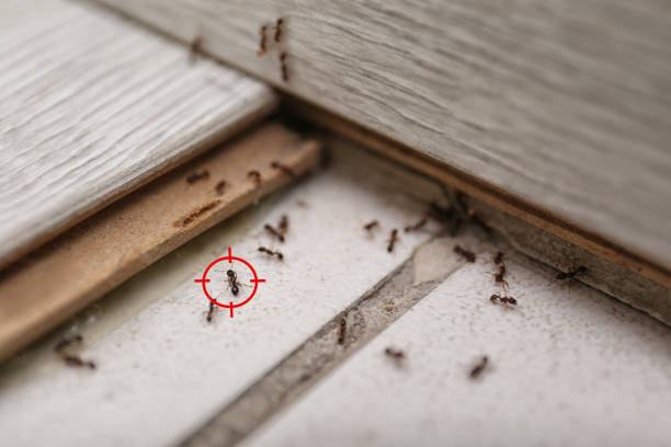 Best Pest Control Near Me  in Lake Leann, MI