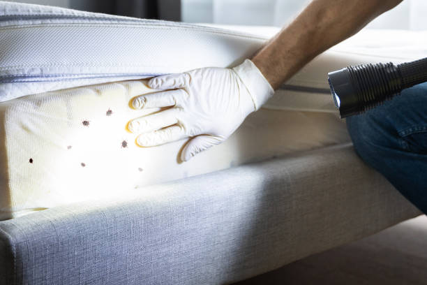 Trusted Lake Leann, MI Pest Control Experts